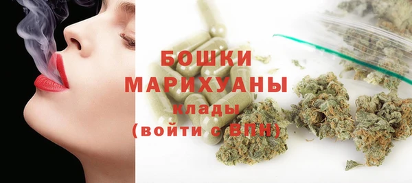 трава Бородино