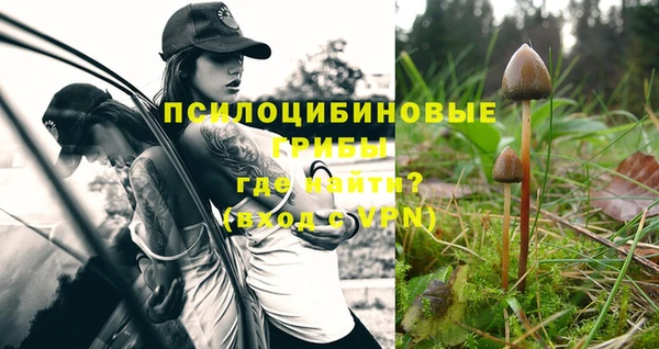 эйфоретик Бугульма