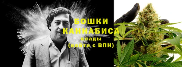 трава Бородино