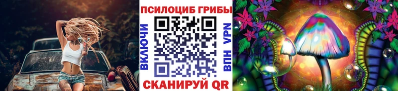 Купить где  Тутаев  Псилоцибиновые грибы Magic Shrooms 